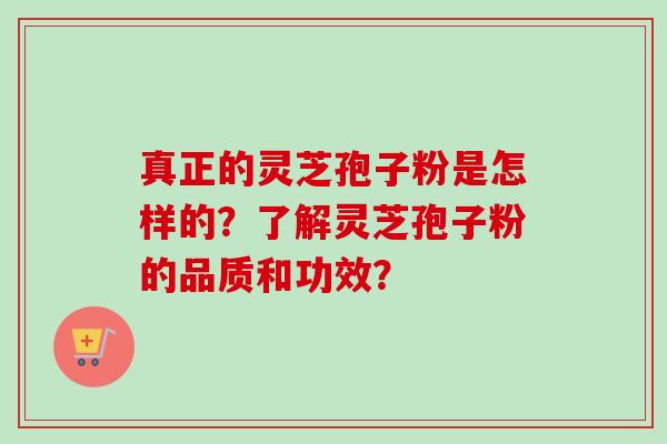 真正的灵芝孢子粉是怎样的？了解灵芝孢子粉的品质和功效？