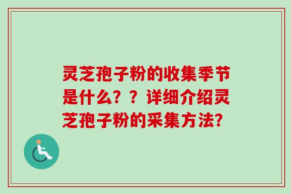 灵芝孢子粉的收集季节是什么？？详细介绍灵芝孢子粉的采集方法？