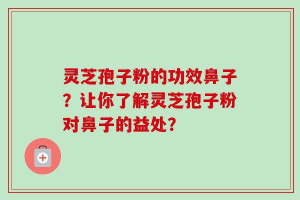 灵芝孢子粉的功效鼻子？让你了解灵芝孢子粉对鼻子的益处？