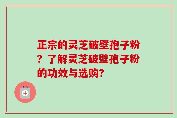 正宗的灵芝破壁孢子粉？了解灵芝破壁孢子粉的功效与选购？