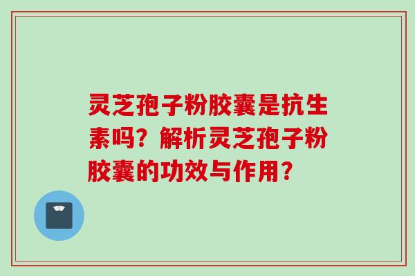 灵芝孢子粉胶囊是抗生素吗？解析灵芝孢子粉胶囊的功效与作用？