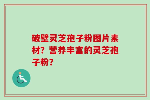 破壁灵芝孢子粉图片素材？营养丰富的灵芝孢子粉？