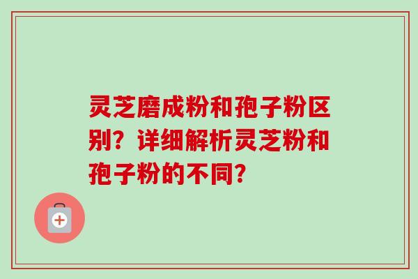 灵芝磨成粉和孢子粉区别？详细解析灵芝粉和孢子粉的不同？