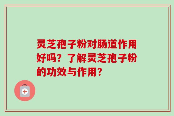 灵芝孢子粉对肠道作用好吗？了解灵芝孢子粉的功效与作用？