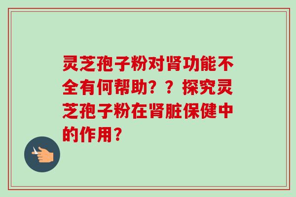 灵芝孢子粉对肾功能不全有何帮助？？探究灵芝孢子粉在肾脏保健中的作用？