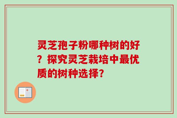 灵芝孢子粉哪种树的好？探究灵芝栽培中最优质的树种选择？