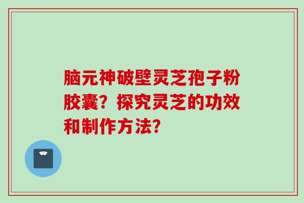 脑元神破壁灵芝孢子粉胶囊？探究灵芝的功效和制作方法？
