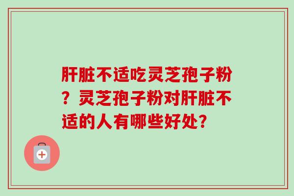 肝脏不适吃灵芝孢子粉？灵芝孢子粉对肝脏不适的人有哪些好处？