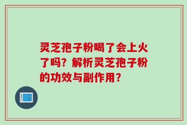 灵芝孢子粉喝了会上火了吗？解析灵芝孢子粉的功效与副作用？