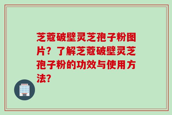 芝蔻破壁灵芝孢子粉图片？了解芝蔻破壁灵芝孢子粉的功效与使用方法？