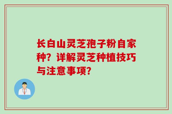长白山灵芝孢子粉自家种？详解灵芝种植技巧与注意事项？