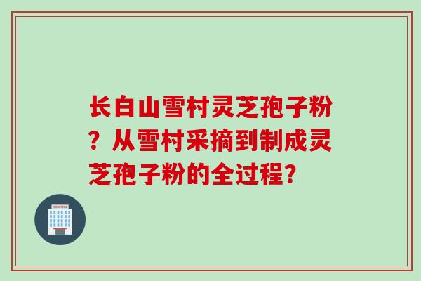 长白山雪村灵芝孢子粉？从雪村采摘到制成灵芝孢子粉的全过程？