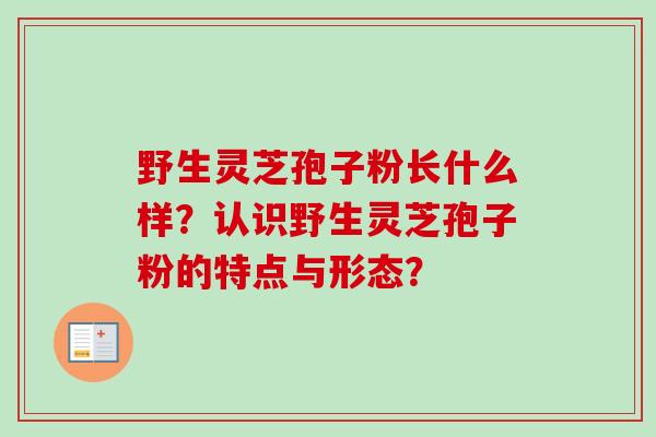 野生灵芝孢子粉长什么样？认识野生灵芝孢子粉的特点与形态？