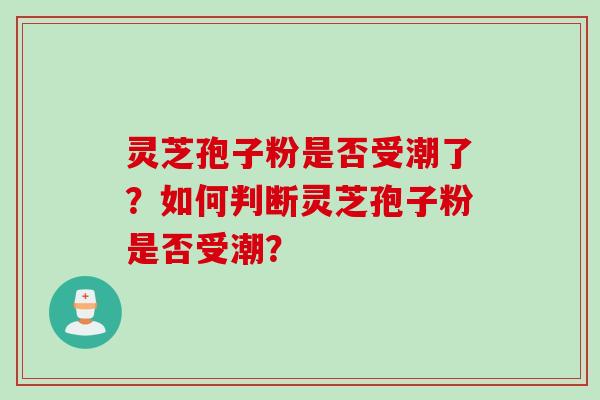 灵芝孢子粉是否受潮了？如何判断灵芝孢子粉是否受潮？