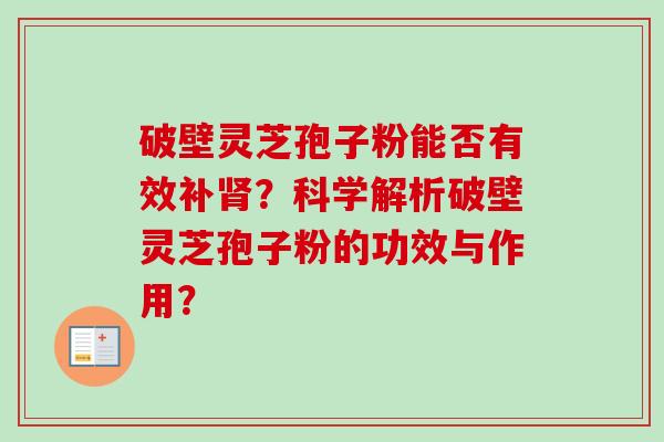 破壁灵芝孢子粉能否有效补肾？科学解析破壁灵芝孢子粉的功效与作用？
