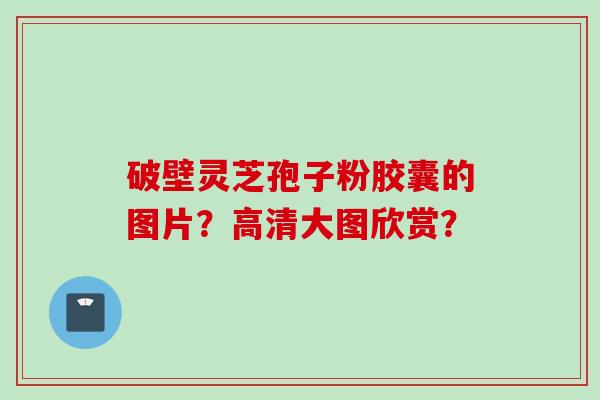 破壁灵芝孢子粉胶囊的图片？高清大图欣赏？