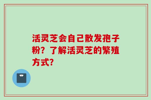 活灵芝会自己散发孢子粉？了解活灵芝的繁殖方式？