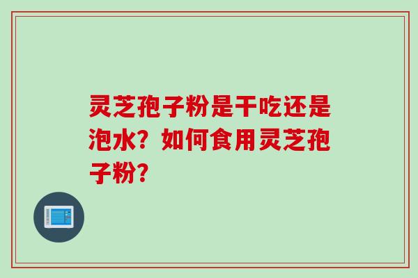 灵芝孢子粉是干吃还是泡水？如何食用灵芝孢子粉？