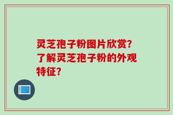 灵芝孢子粉图片欣赏？了解灵芝孢子粉的外观特征？