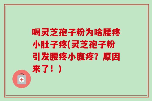 喝灵芝孢子粉为啥腰疼小肚子疼(灵芝孢子粉引发腰疼小腹疼？原因来了！)