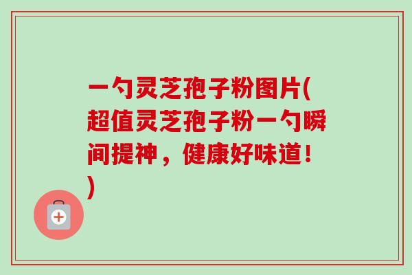一勺灵芝孢子粉图片(超值灵芝孢子粉一勺瞬间提神，健康好味道！)