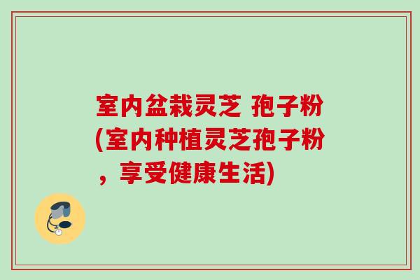 室内盆栽灵芝 孢子粉(室内种植灵芝孢子粉，享受健康生活)