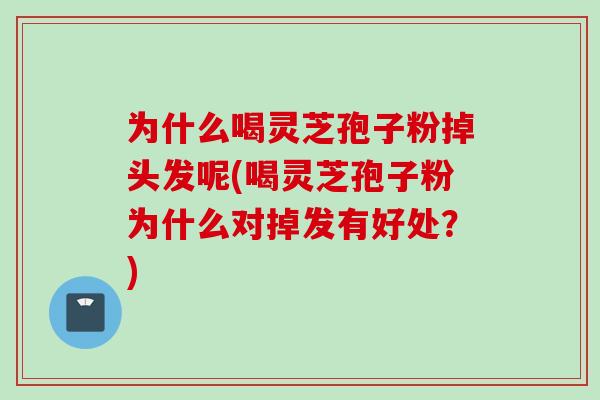为什么喝灵芝孢子粉掉头发呢(喝灵芝孢子粉为什么对掉发有好处？)