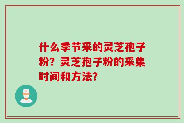 什么季节采的灵芝孢子粉？灵芝孢子粉的采集时间和方法？
