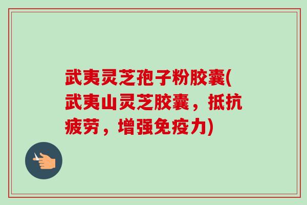 武夷灵芝孢子粉胶囊(武夷山灵芝胶囊，抵抗疲劳，增强免疫力)