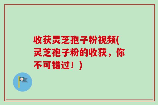 收获灵芝孢子粉视频(灵芝孢子粉的收获,你不可错过!) 收获灵芝孢子粉视频(灵芝孢子粉的收获,你不可错过!)