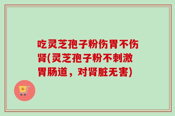 吃灵芝孢子粉伤胃不伤肾(灵芝孢子粉不刺激胃肠道，对肾脏无害)