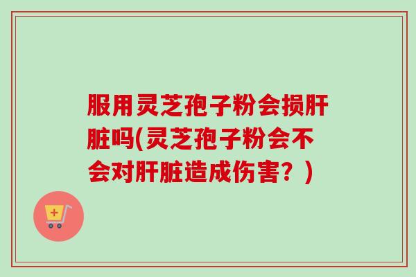 服用灵芝孢子粉会损肝脏吗(灵芝孢子粉会不会对肝脏造成伤害？)