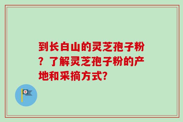 到长白山的灵芝孢子粉？了解灵芝孢子粉的产地和采摘方式？