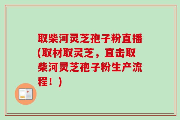 取柴河灵芝孢子粉直播(取材取灵芝，直击取柴河灵芝孢子粉生产流程！)