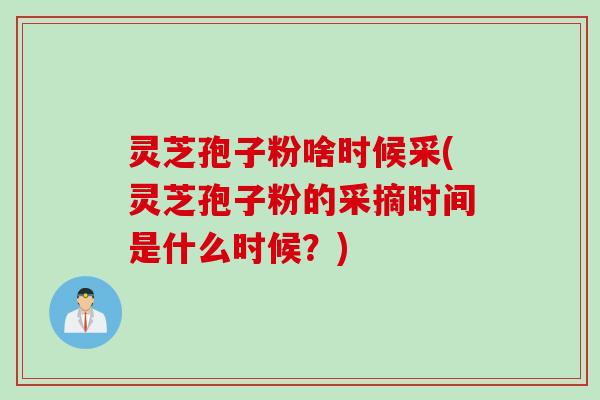 灵芝孢子粉啥时候采(灵芝孢子粉的采摘时间是什么时候？)