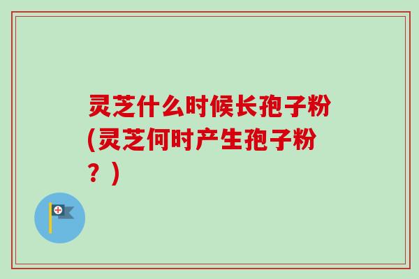 灵芝什么时候长孢子粉(灵芝何时产生孢子粉？)