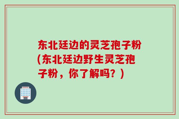 东北廷边的灵芝孢子粉(东北廷边野生灵芝孢子粉，你了解吗？)