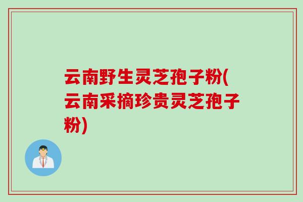 云南野生灵芝孢子粉(云南采摘珍贵灵芝孢子粉)