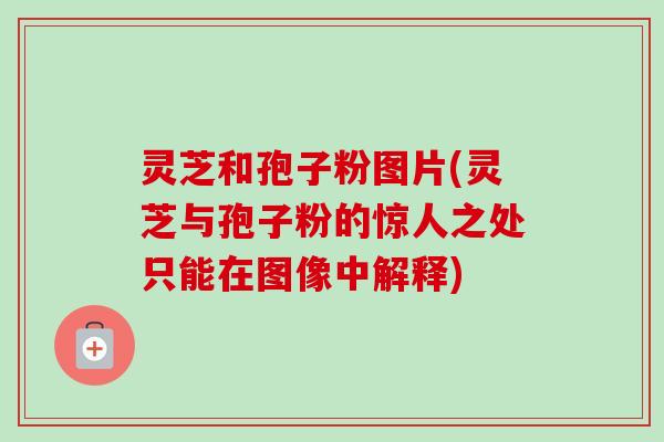 灵芝和孢子粉图片(灵芝与孢子粉的惊人之处只能在图像中解释)