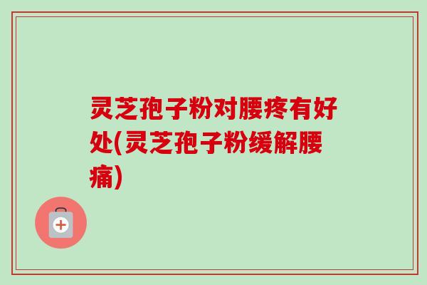 灵芝孢子粉对腰疼有好处(灵芝孢子粉缓解腰痛)