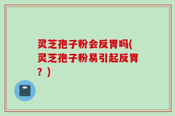灵芝孢子粉会反胃吗(灵芝孢子粉易引起反胃？)