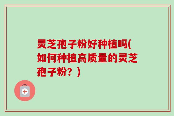 灵芝孢子粉好种植吗(如何种植高质量的灵芝孢子粉？)