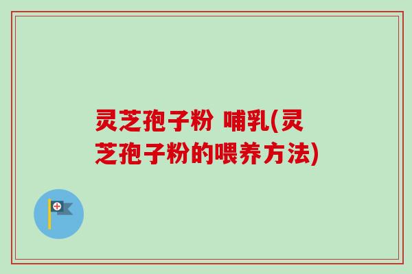 灵芝孢子粉 哺乳(灵芝孢子粉的喂养方法)