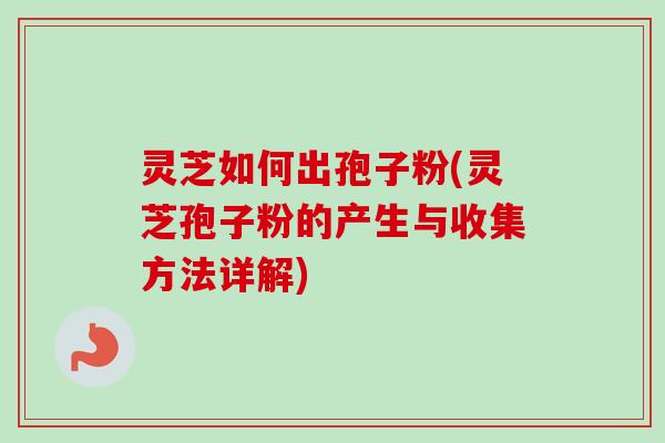 灵芝如何出孢子粉(灵芝孢子粉的产生与收集方法详解)
