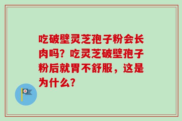 吃破壁灵芝孢子粉会长肉吗？吃灵芝破壁孢子粉后就胃不舒服，这是为什么？