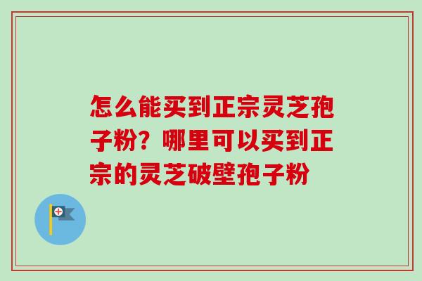 怎么能买到正宗灵芝孢子粉？哪里可以买到正宗的灵芝破壁孢子粉