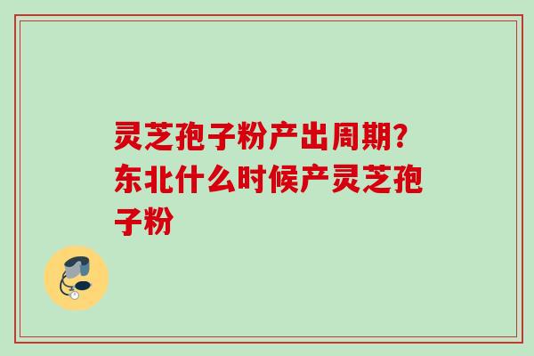 灵芝孢子粉产出周期？东北什么时候产灵芝孢子粉