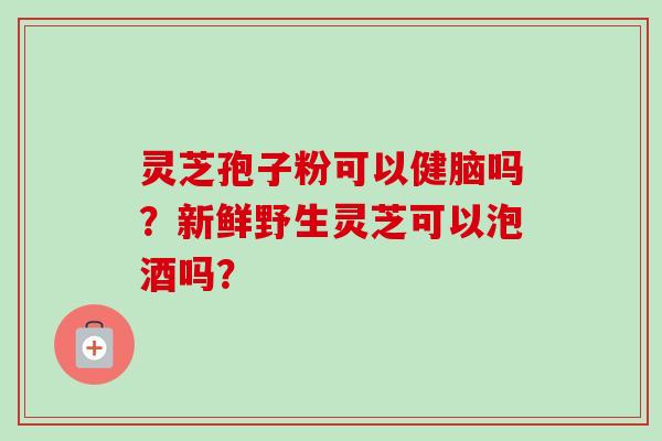 灵芝孢子粉可以健脑吗？新鲜野生灵芝可以泡酒吗？