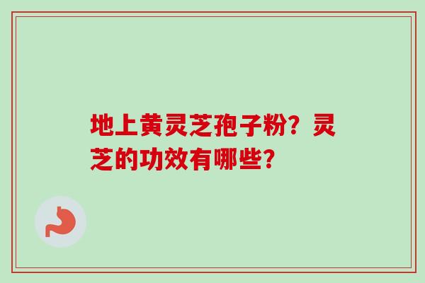 地上黄灵芝孢子粉？灵芝的功效有哪些？