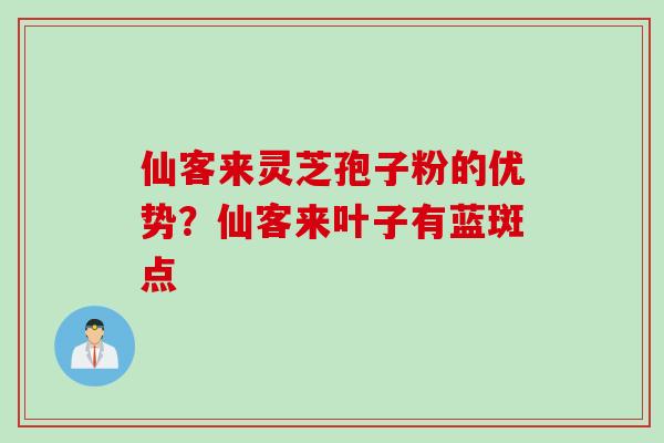 仙客来灵芝孢子粉的优势？仙客来叶子有蓝斑点
